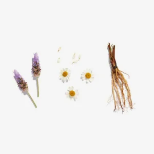 lovetea-sleep-ingredients