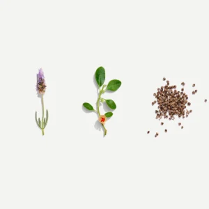 FemaleTonic-Ingredients